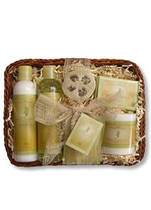 Noni Papaya Pineapple Large Hawaiian Gift Basket