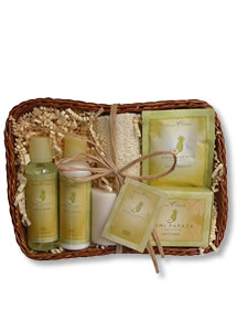 Noni Papaya Pineapple Small Hawaiian Gift Basket