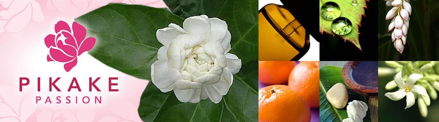 Pikake Passion Collection