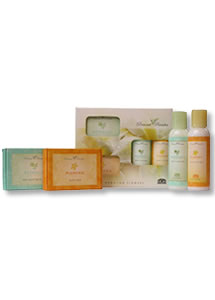 Plumeria & Botanical(2) Bath Bar(2) Body Lotion (60ml)